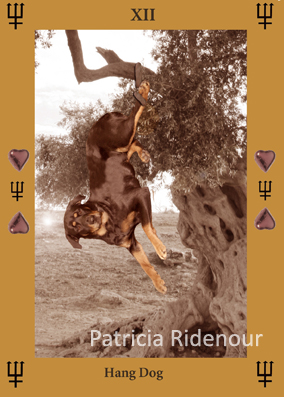 Patricia Ridenour_The Doggy Tarot_The Hang Dog